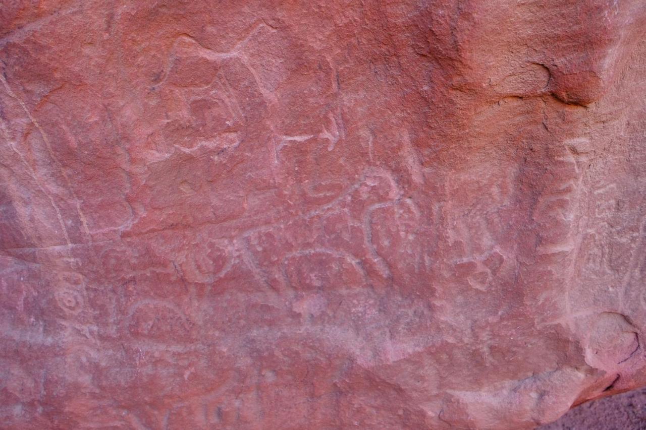 Nature Star Camp Hotel Wadi Rum Exterior foto